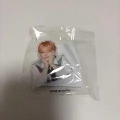 treasure ヨシ アクリルクリップ カプセルトイ