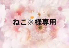 2026年最新】プロフ必須の人気アイテム - メルカリ
