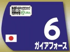 2025年最新】ミニゼッケンの人気アイテム - メルカリ