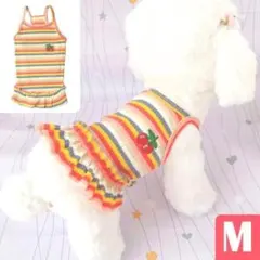 ボーダー柄フリル付き犬服ワンピース！【M】レッド