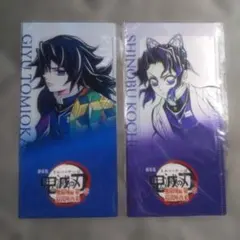 鬼滅の刃 無限城編 チケットホルダー&チケット風カード 冨岡義勇 胡蝶しのぶ