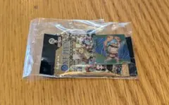 にふぉるめーしょん ワンピース ウエハース ミニチュアチャーム フランキー