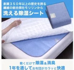モリリン　洗える除湿シート ３枚セット　シングル