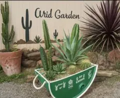 2026年最新】ドラム缶プランターの人気アイテム - メルカリ