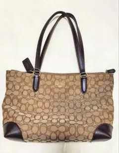 Item thumbnail for item 00f8df5e-ca16-4514-9724-a1273c3e97f0