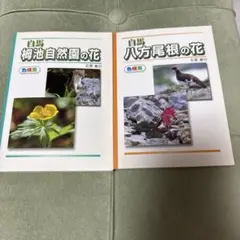 Item thumbnail for item 20309e48-4a73-486d-b213-8654b6099ff7