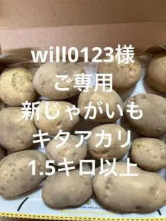 will0123様ご専用です。 キタアカリ1.5キロ以上コンパクトボックス