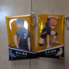 ハイキュー!! 日向翔陽&影山飛雄 クリアケース キーホルダー2個