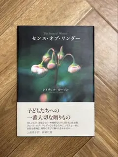 Item thumbnail for item ebaacaff-739a-4719-a273-ff76c1444e25