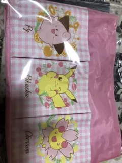 ポケットモンスタープラチナムザッカポケット付き収納バッグ