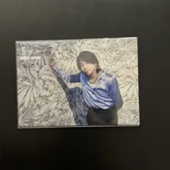 ミセス フォトカード 対バンライブ 大森元貴 042 ミセスグリーンアップル