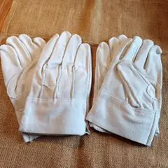 Item thumbnail for item 729b259e-16c6-4d2f-bdeb-8292f92446b0