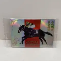 佐*藤様 ステイゴールド 香港ヴァーズ 記念カード 2001 - メルカリ