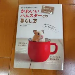 Item thumbnail for item 718dbe4f-5666-4dab-8406-20277891c98a