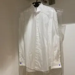 THE TREAT DRESSING ウィングカラーシャツ