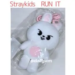 StrayKids スキズ ソウル クロスバッグ リービット リノ トレカ付