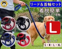 Item thumbnail for item c7774655-27bd-416a-843c-713b4acca938