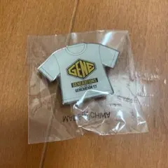 GENERATIONS ガチャ　ピンバッジ