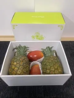 食品サンプル　果物セットサンプル