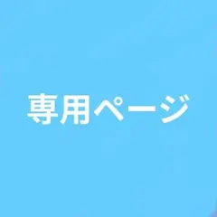 専用ページ