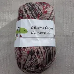 【未使用】カメレオンカメラ2　毛糸zakkaストアーズ　ソックヤーン