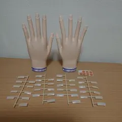 JNEC認定モデルハンド両手骨折なし 認定ネイルチップ&甘皮シール&両面