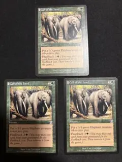 MTG 獣群の呼び声/Call of the Herd 英 日TSP 3枚セット - メルカリ