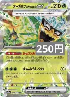 ラッツッツ様 リクエスト 3点 まとめ商品