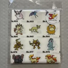 スリコ ポケモン30周年記念 ビッグハンカチ