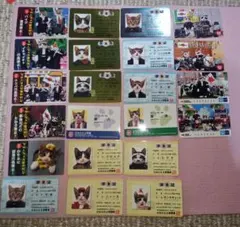 なめ猫　カード なめんなよカードコレクション なめ猫 カード なめ猫 免許証　②