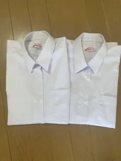 Item thumbnail for item 18c1ee3a-6dd0-4aae-a969-d751e2a51900