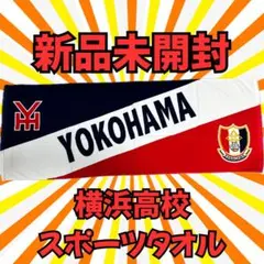 清水エスパルス 電気グルーヴ コラボタオルマフラー 2種 - メルカリ