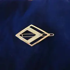 《美品♡》ヘアピン