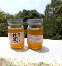 ⭐︎希少　【入手困難•廃業】木酢液クリア 500ml 木炭屋【新品未使用】 ⭐︎希少 【入手困難•廃業】木酢液クリア 500ml 木炭屋【新品未使用