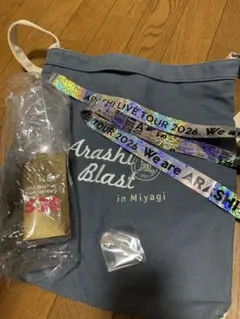 嵐　ペンライト　ガチャ　ロゴマグネット　台風　銀テ　we are ARASHIのサムネイル