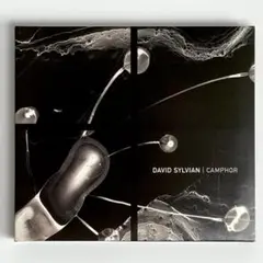♪ 2枚組 新品同様 ♪ David Sylvian 『Camphor』