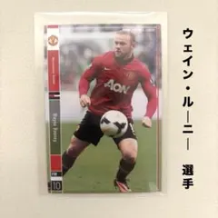 2026年最新】パニーニ ルーニーの人気アイテム - メルカリ