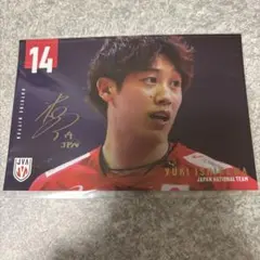 バレーボール　日本代表　ポストカード　ガチャ　石川祐希　A