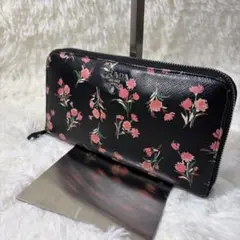 Item thumbnail for item 474305c6-9f70-480a-9779-4e1d5ca336fc