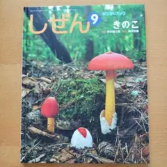 キンダーブック しぜん」 2024年8月号『どくのあるいきもの