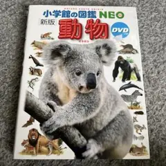 動物