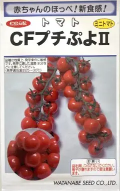 赤ちゃんのほっぺ！CFプチぷよII ミニトマト 種子7粒