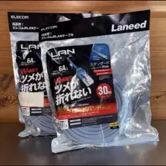 エレコム製ツメ折れ防止LANケーブル Cat6A 30m 2パック