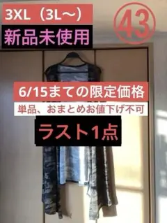 売り切り最終値下げ価格》（大きいサイズ）㊹迷彩柄ロングジレ（4L