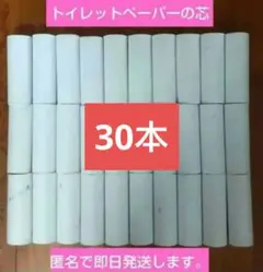 Item thumbnail for item 4a7b37e7-cb8f-42c9-8396-7372ea2a76f0