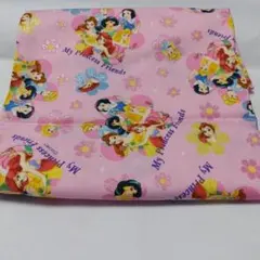 ディズニープリンセス　オックス生地　はぎれ 入園準備