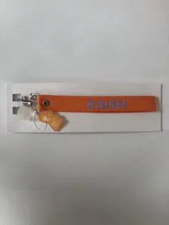 THERAMPAGE ランペ 武知海青 マルチストラップ