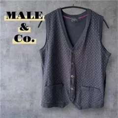 ✨MALE & Co. ニットベスト ⭐️Mサイズ ネイビー