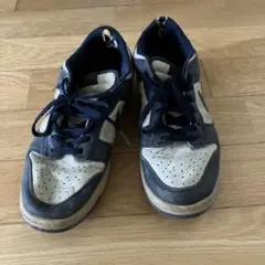 Item thumbnail for item ba0cbb0a-581f-4512-a6b0-52b4b710a739