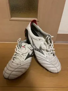 ミズノ モレリア ネオ4